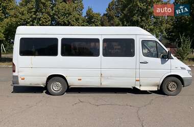 Микроавтобус Mercedes-Benz Sprinter 2006 в Чернигове