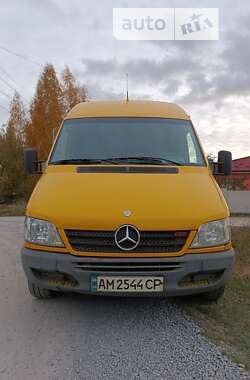 Вантажний фургон Mercedes-Benz Sprinter 2003 в Житомирі