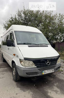 Микроавтобус Mercedes-Benz Sprinter 2006 в Александрие