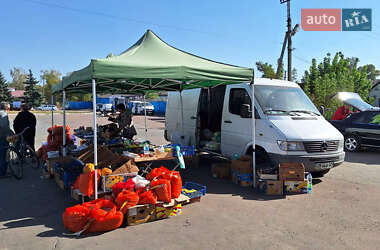 Грузовой фургон Mercedes-Benz Sprinter 1999 в Коропе