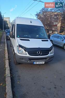 Грузопассажирский фургон Mercedes-Benz Sprinter 2010 в Виннице