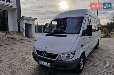 Грузопассажирский фургон Mercedes-Benz Sprinter 2004 в Березному