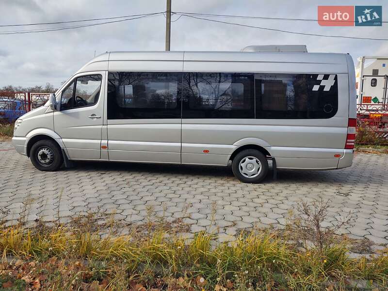 Другие автобусы Mercedes-Benz Sprinter 2010 в Днепре