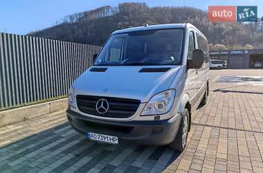 Мікроавтобус Mercedes-Benz Sprinter 2012 в Сваляві