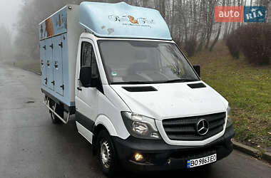 Вантажний фургон Mercedes-Benz Sprinter 2016 в Тернополі