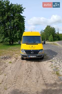 Вантажопасажирський фургон Mercedes-Benz Sprinter 2003 в Любешові