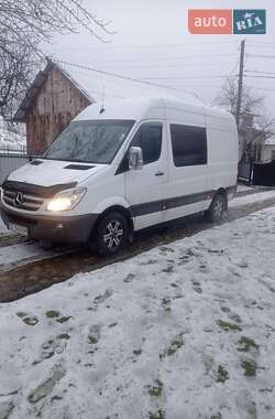 Микроавтобус Mercedes-Benz Sprinter 2010 в Черновцах