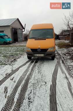 Вантажний фургон Mercedes-Benz Sprinter 2002 в Любешові