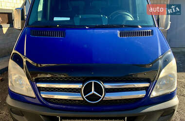 Микроавтобус Mercedes-Benz Sprinter 2009 в Коломые