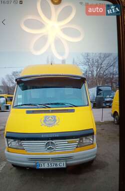 Микроавтобус Mercedes-Benz Sprinter 2000 в 