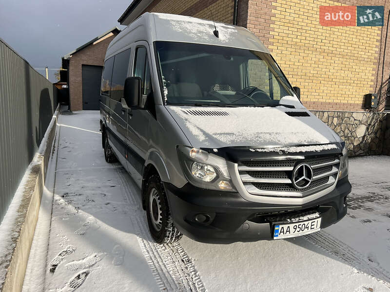 Мікроавтобус Mercedes-Benz Sprinter 2013 в Овручі