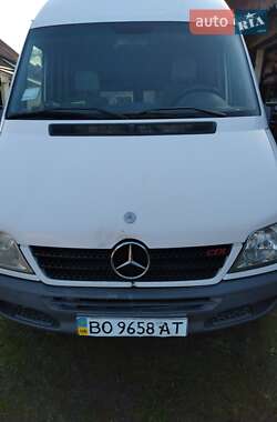 Вантажопасажирський фургон Mercedes-Benz Sprinter 2004 в Кременці