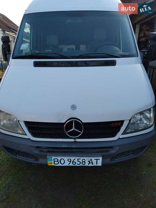 Грузопассажирский фургон Mercedes-Benz Sprinter 2004 в 