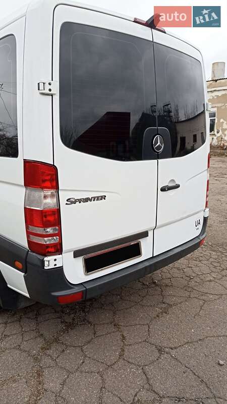 Мікроавтобус Mercedes-Benz Sprinter 2013 в Кривому Озері