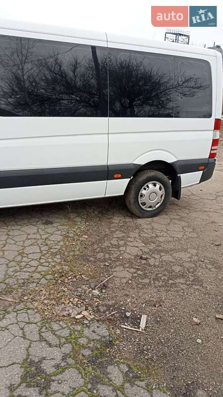 Мікроавтобус Mercedes-Benz Sprinter 2013 в Кривому Озері