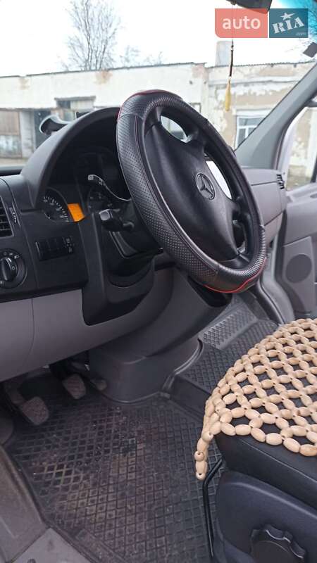 Мікроавтобус Mercedes-Benz Sprinter 2013 в Кривому Озері