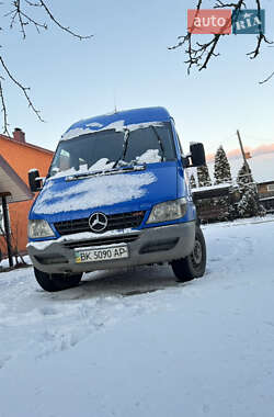 Грузопассажирский фургон Mercedes-Benz Sprinter 2004 в Березному