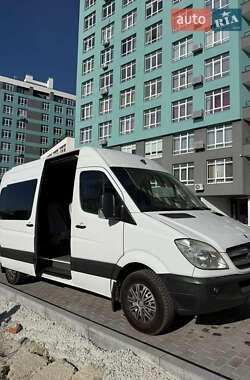 Другие автобусы Mercedes-Benz Sprinter 2010 в 