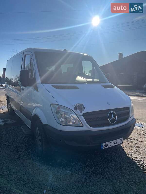 Мікроавтобус Mercedes-Benz Sprinter 2007 в Сарнах фото 3 Мікроавтобус Mercedes-Benz Sprinter 2007 в Сарнах