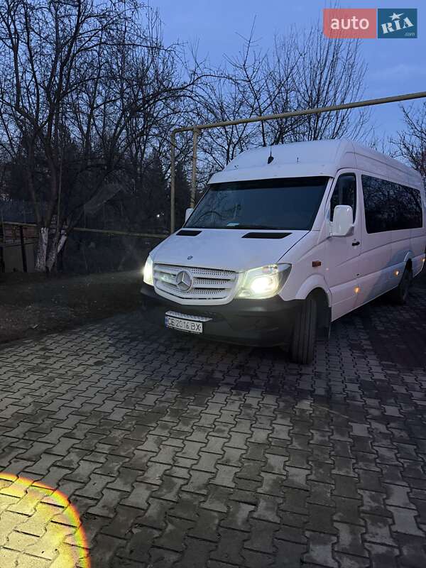 Інші автобуси Mercedes-Benz Sprinter 2014 в Чернівцях