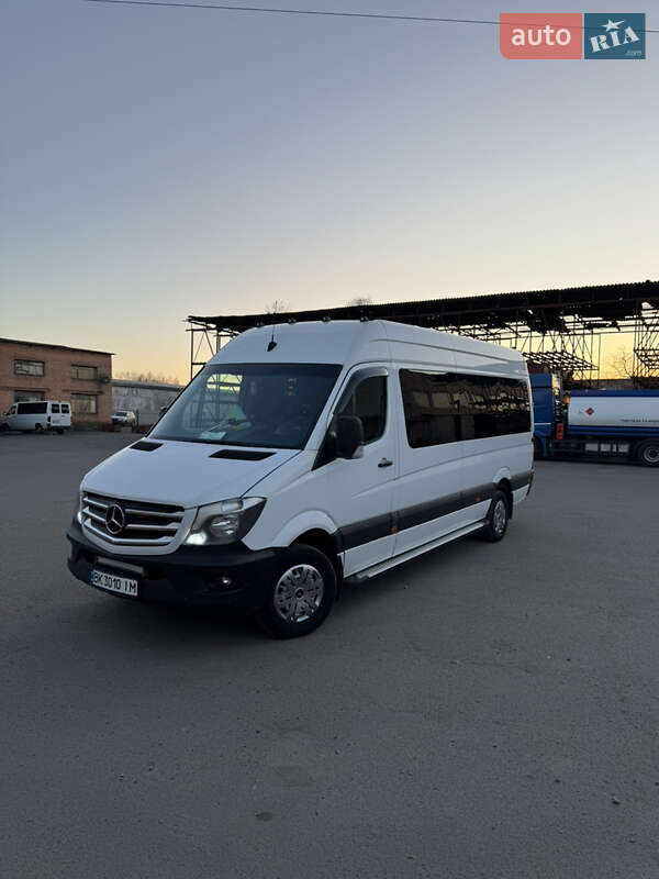 Микроавтобус Mercedes-Benz Sprinter 2017 в Березному