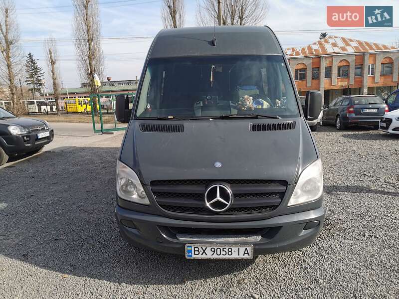 Грузопассажирский фургон Mercedes-Benz Sprinter 2010 в Хмельницком