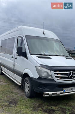 Микроавтобус Mercedes-Benz Sprinter 2017 в Камне-Каширском