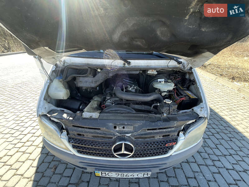 Мікроавтобус Mercedes-Benz Sprinter 2006 в Рава-Руській