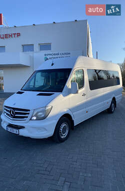 Мікроавтобус Mercedes-Benz Sprinter 2014 в Кременчуці