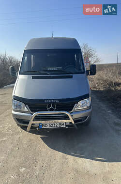 Микроавтобус Mercedes-Benz Sprinter 2004 в 