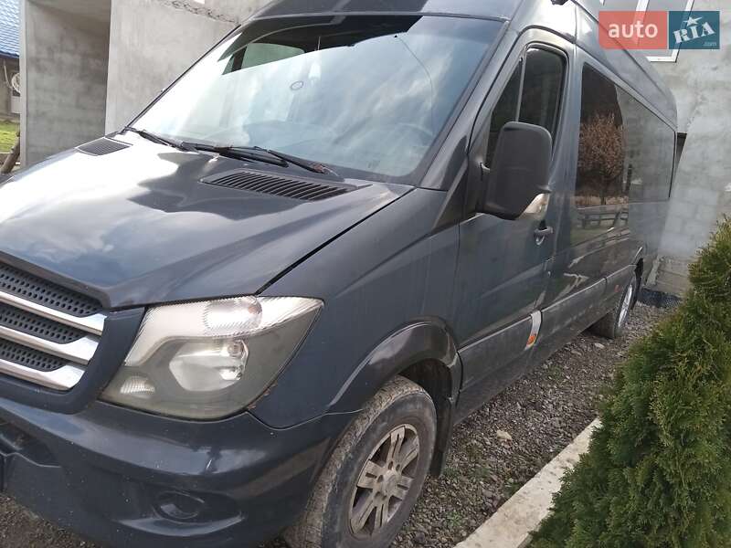 Микроавтобус Mercedes-Benz Sprinter 2009 в Межгорье