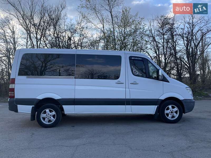 Микроавтобус Mercedes-Benz Sprinter 2008 в Кривом Роге