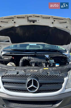 Туристичний / Міжміський автобус Mercedes-Benz Sprinter 2012 в 