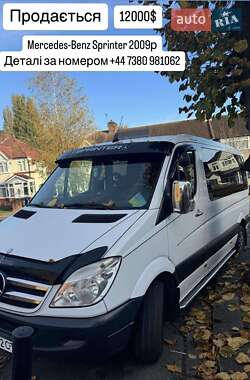 Микроавтобус Mercedes-Benz Sprinter 2009 в 