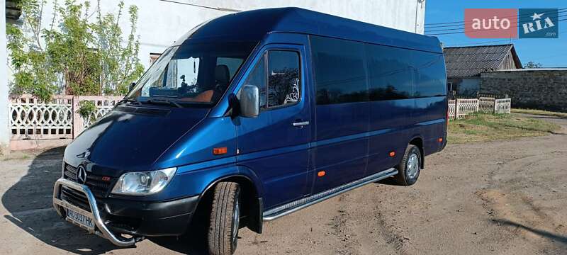 Мікроавтобус Mercedes-Benz Sprinter 2001 в 
