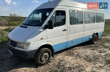 Мікроавтобус Mercedes-Benz Sprinter 1998 в Кривому Розі