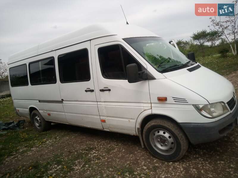 Микроавтобус Mercedes-Benz Sprinter 2000 в Городке