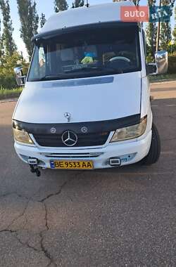 Мікроавтобус Mercedes-Benz Sprinter 2000 в Миколаєві