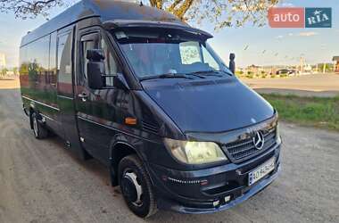 Мікроавтобус Mercedes-Benz Sprinter 2004 в Хусті