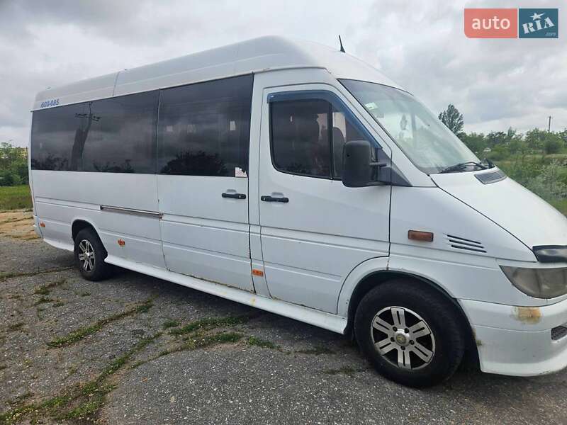 Микроавтобус Mercedes-Benz Sprinter 2004 в 