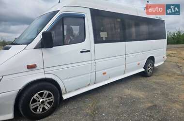 Микроавтобус Mercedes-Benz Sprinter 2004 в 