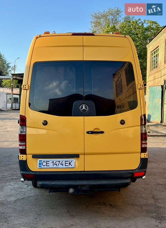 Микроавтобус Mercedes-Benz Sprinter 2011 в Кривом Роге