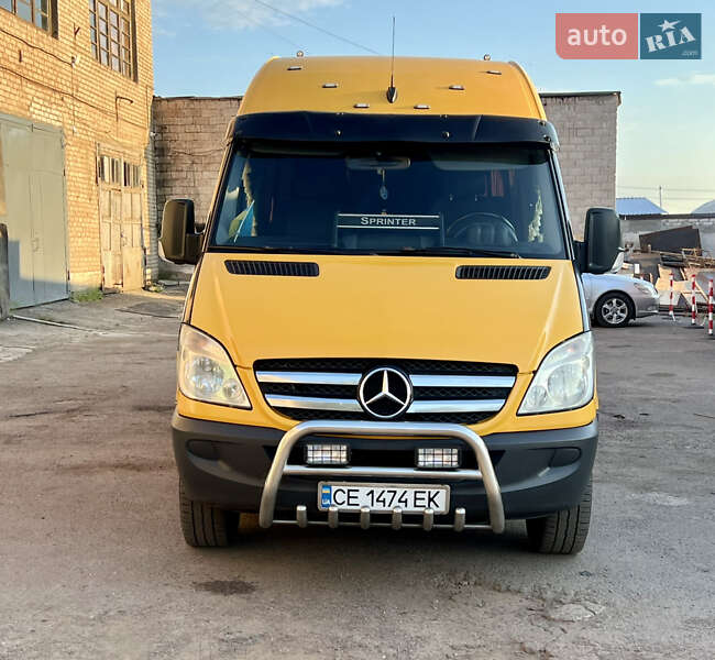 Микроавтобус Mercedes-Benz Sprinter 2011 в Кривом Роге