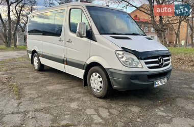 Микроавтобус Mercedes-Benz Sprinter 2012 в Кривом Роге