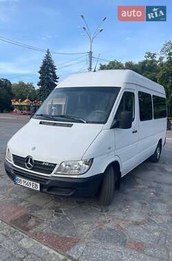 Микроавтобус Mercedes-Benz Sprinter 2004 в Кременчуге