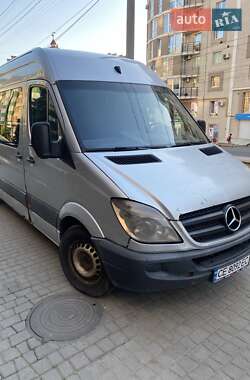 Грузопассажирский фургон Mercedes-Benz Sprinter 2009 в 