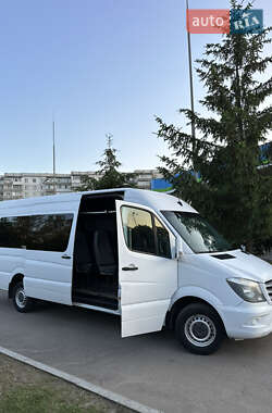 Микроавтобус Mercedes-Benz Sprinter 2014 в 