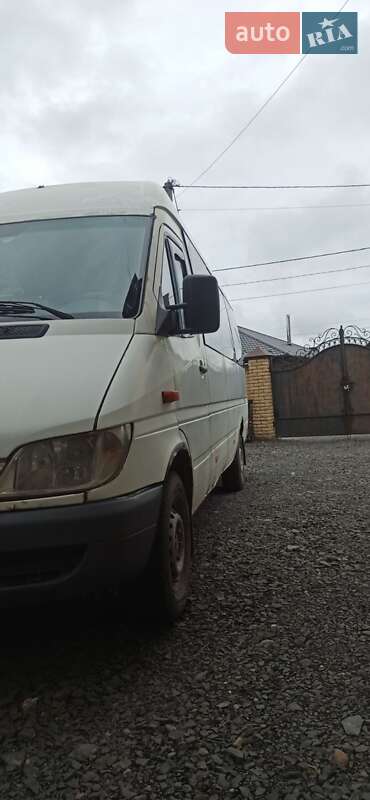 Микроавтобус Mercedes-Benz Sprinter 2001 в 