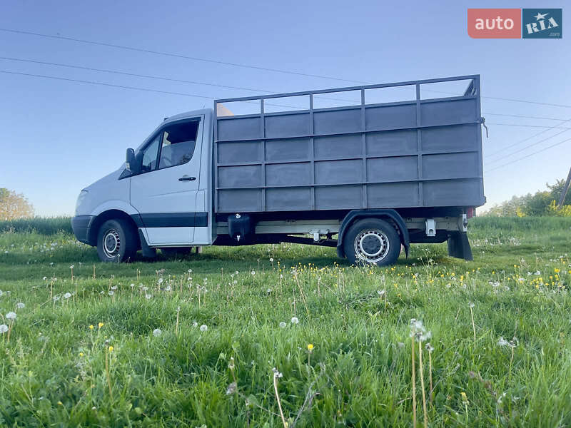 Для перевезення тварин Mercedes-Benz Sprinter 2006 в Хмельницькому