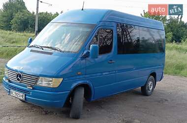 Микроавтобус Mercedes-Benz Sprinter 2000 в 